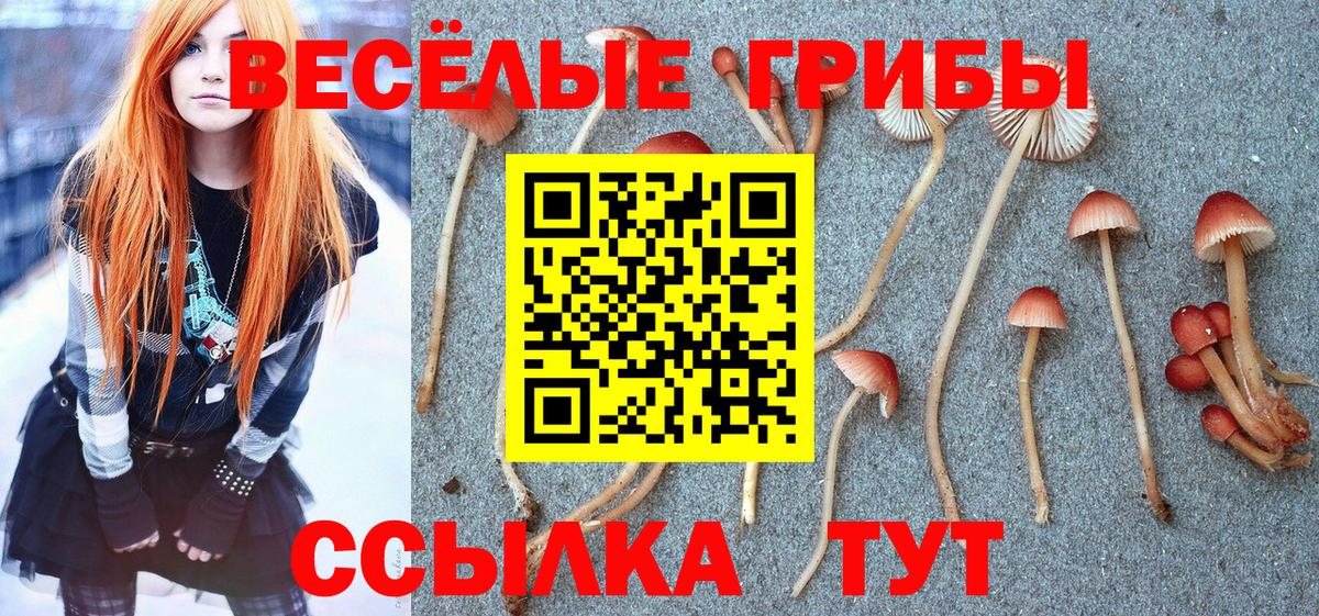 Псилоцибиновые грибы Magic Shrooms  Вход с VPN  Ногинск 
