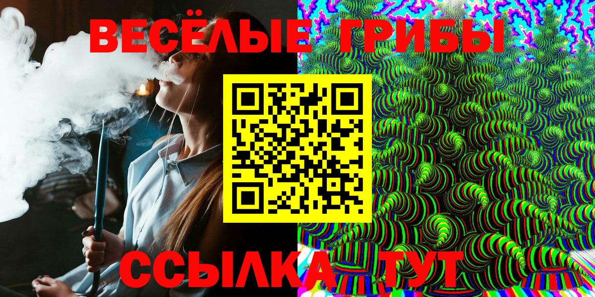 Псилоцибиновые грибы мицелий Ногинск